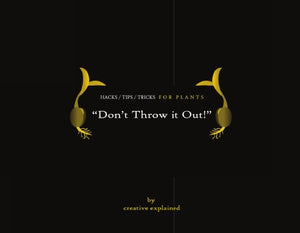 Book Cover Variant Thumbnail