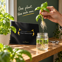 Load image into Gallery viewer, Official “Don’t Throw it Out” Book | Plant Hacks/Tips/Tricks
