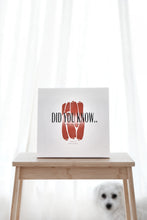 Load image into Gallery viewer, PRE-ORDER | &quot;Did You Know..&quot; by Creative Explained
