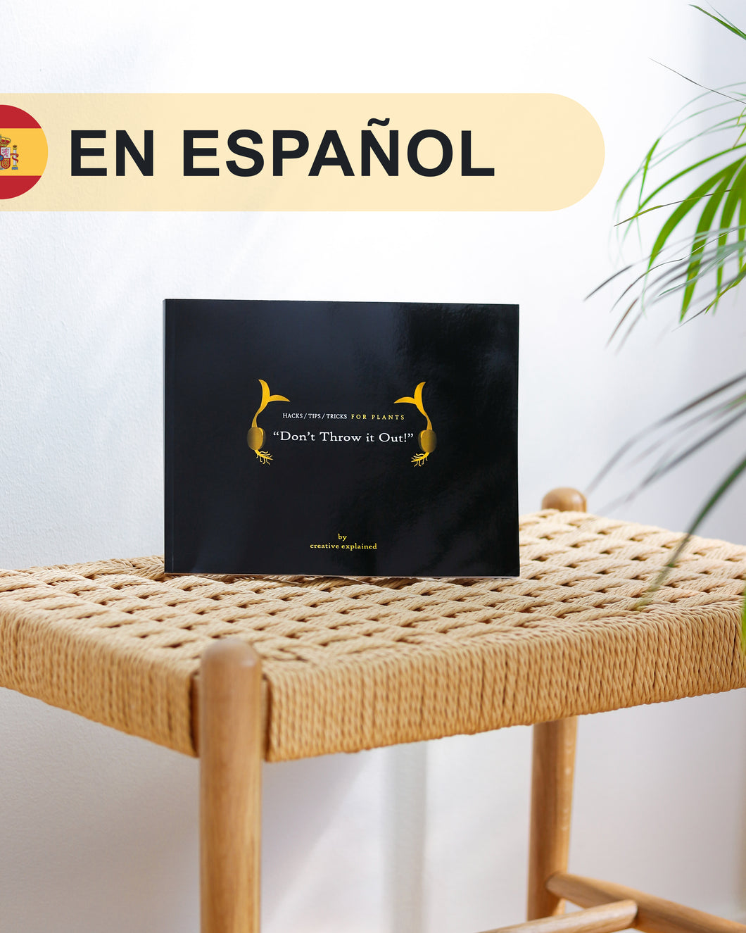 “Don’t Throw it Out” E-Book | SPANISH VERSION